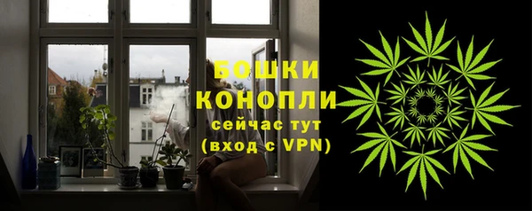 PSILOCYBIN Алзамай