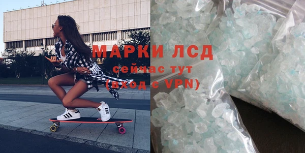PSILOCYBIN Алзамай
