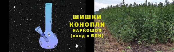 PSILOCYBIN Алзамай