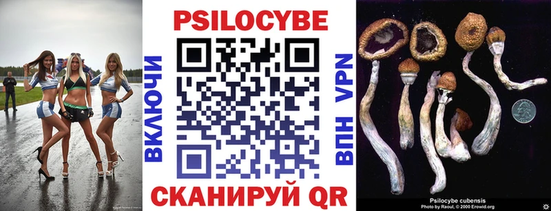 где купить   Данилов  Галлюциногенные грибы MAGIC MUSHROOMS 